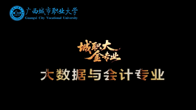 大数据与会计专业