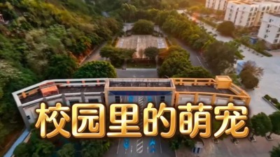 校园里的萌宠