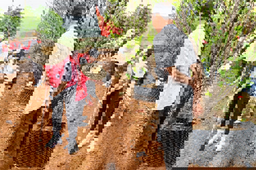 管理员指导同学们种植