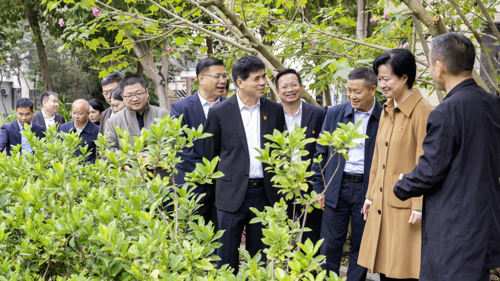 广西民族师范学院、广西农业职业技术大学与广西城市职业大学党建和思想政治工作结对共建-领导参观国粹百草园