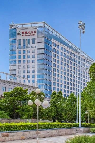 图片20