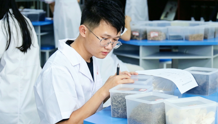 广西城市职业大学健康学院中药传统技能大赛初赛顺利举行