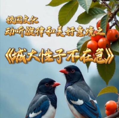 城大性子不在急