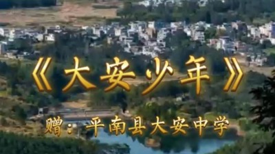 《大安少年》赠平南县大安中学