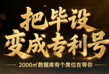 把毕设变成专利号