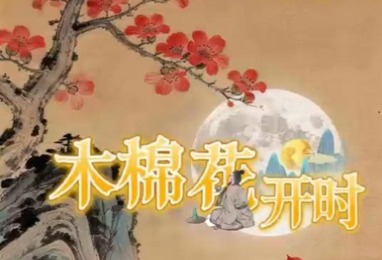 木棉花开时