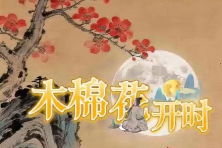 木棉花开时