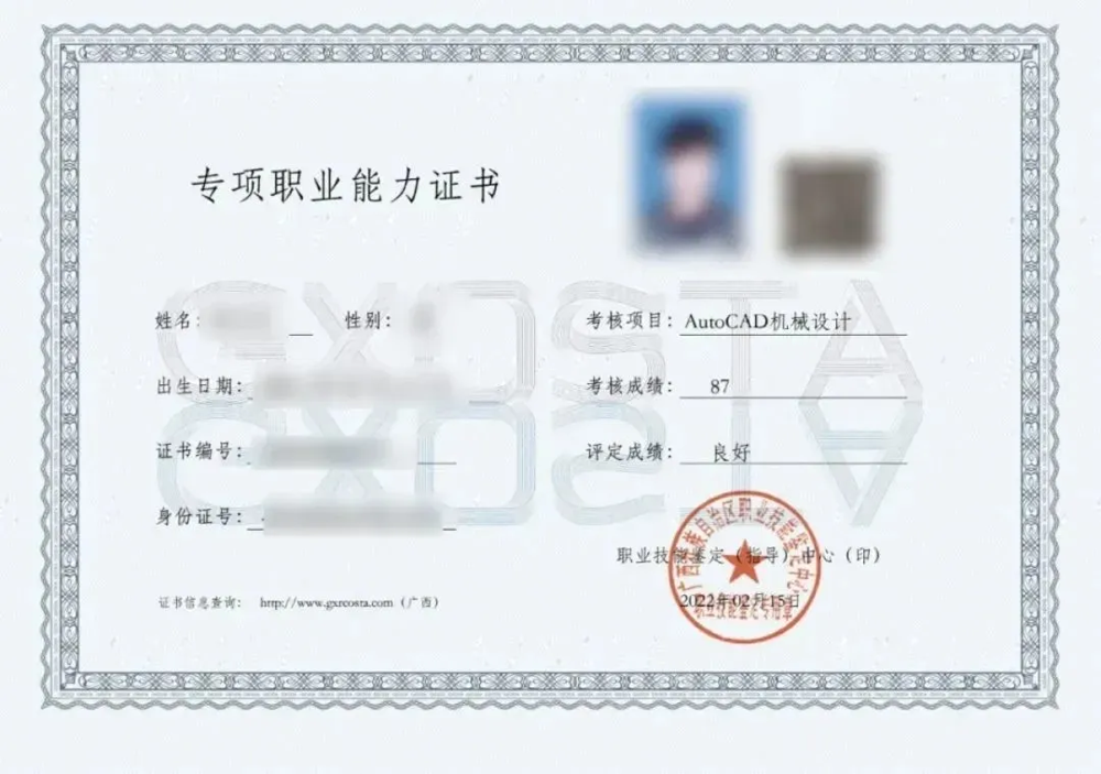 图10 专项职业能力证书