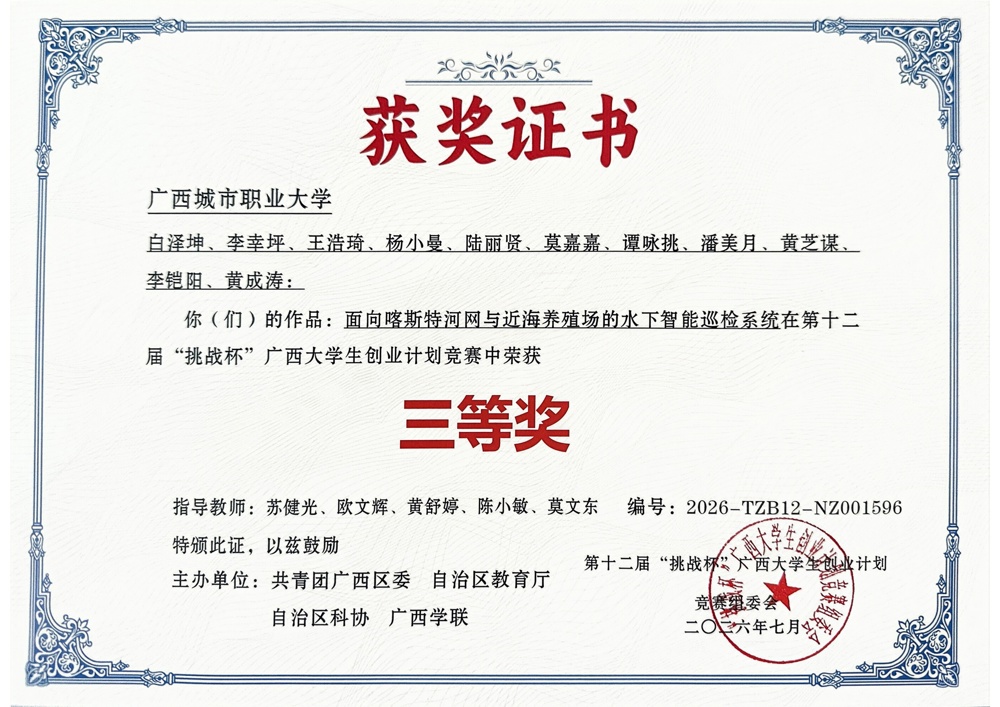 获奖证书 (2)