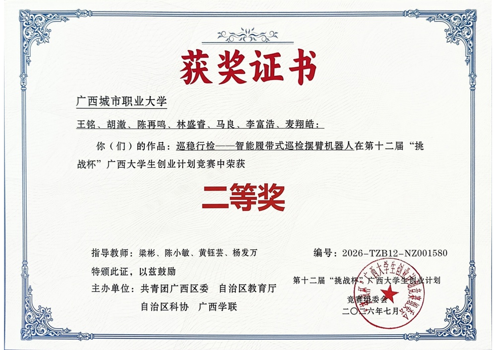 获奖证书 (3)
